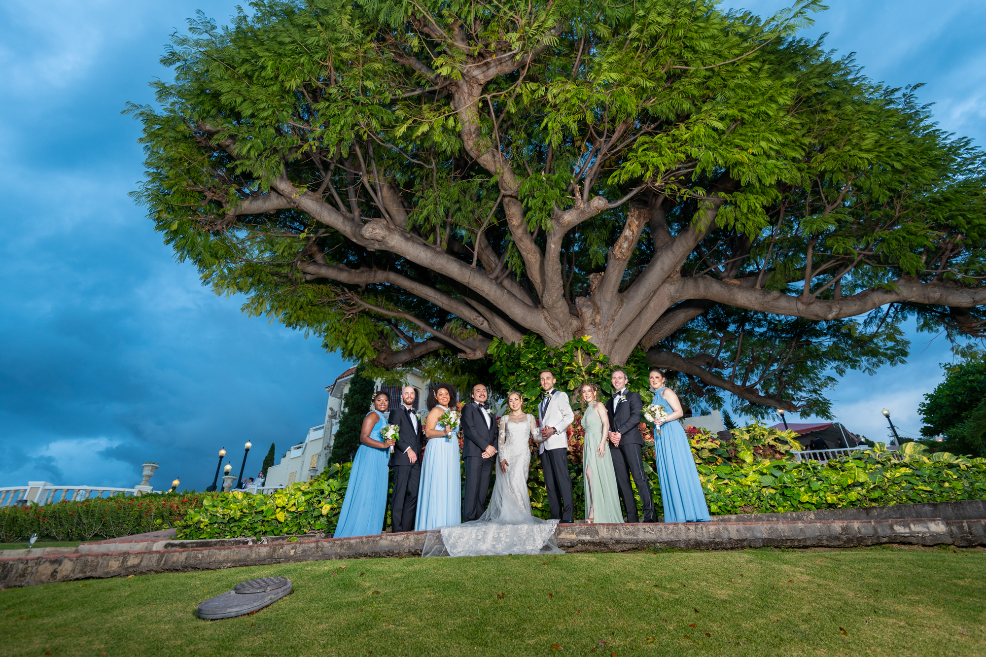 Wedding entourage in front of ancient tree in Castillo Serrallés